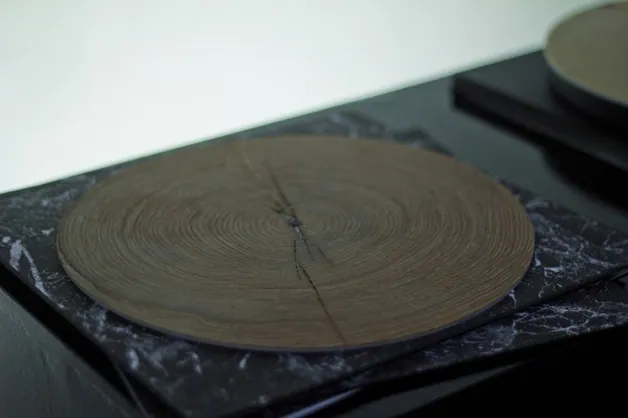 Ao invés de vinil, uma fatia de tronco de árvore para ouvir música