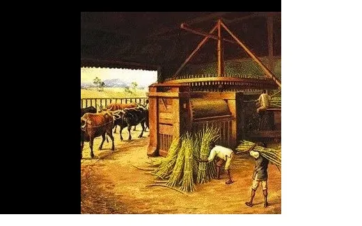 Museu Nacional do Açúcar e do Álcool vira realidade