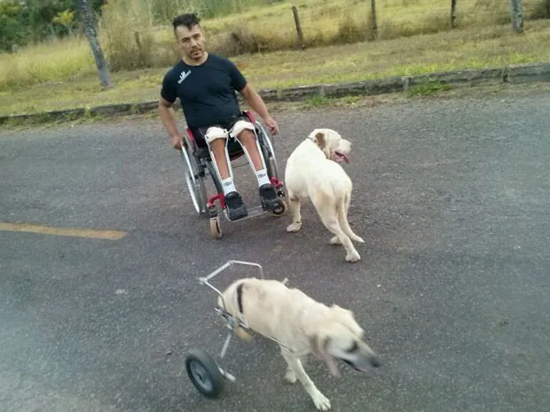 Atleta paralímpico do DF adota cadela de 2 patas que usa cadeira de rodas