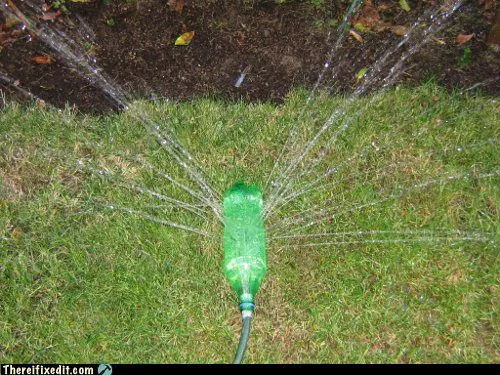 Um pouquinho mais de verde reutilizando objetos não custa nada…