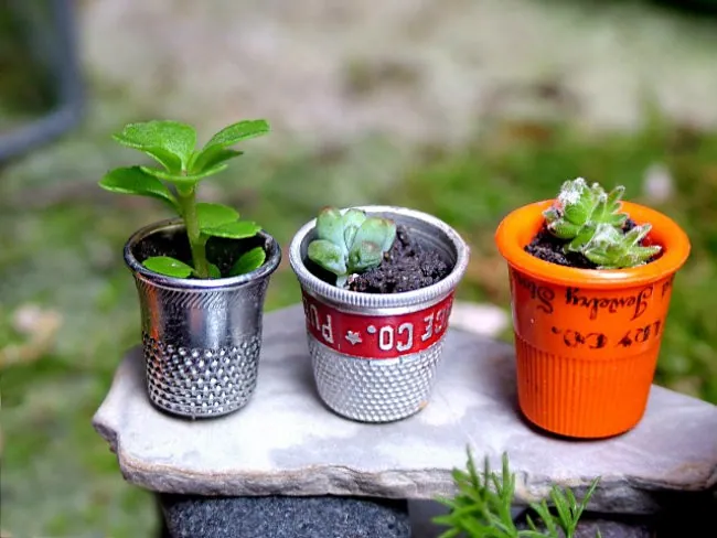 Mini jardim com recicláveis