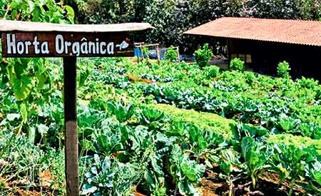 10 ecovilas brasileiras para conhecer em cada região do país – agende-se!