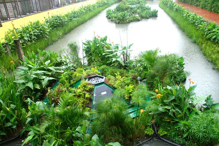 sistema-ecologico-recupera-rio-poluido