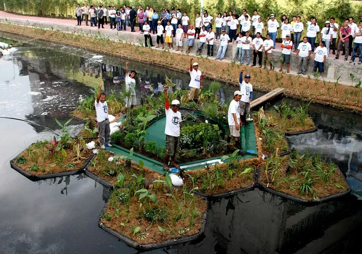 sistema-ecologico-recupera-rio-poluido4