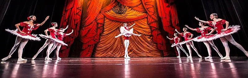 A Cia. Ballet de Cegos foi convidada para dançar na Alemanha e precisa do seu apoio para realizar mais este sonho e representar nosso país.