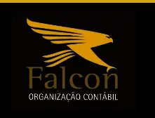 Assessoria contábil para o terceiro setor? Falcon – parceria Rede de Economia Criativa