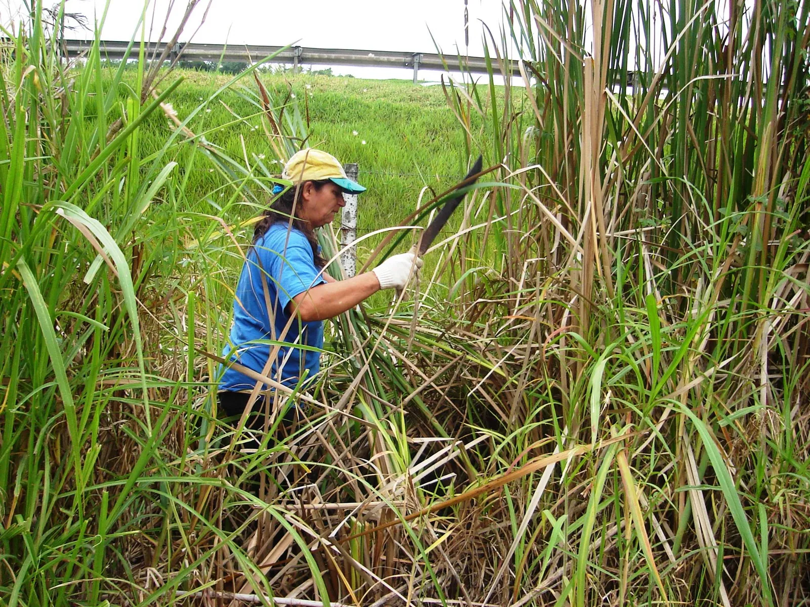 Cleide Toledo – Curadora para artesanato na REC-Brasil apresenta seu trabalho no Programa Bem da Terra (SP)