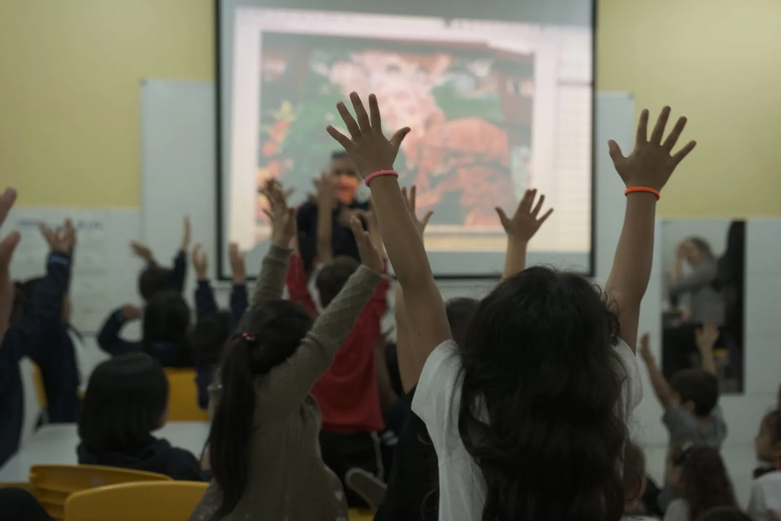 Atividades Socioeducativas Toca do Tatu